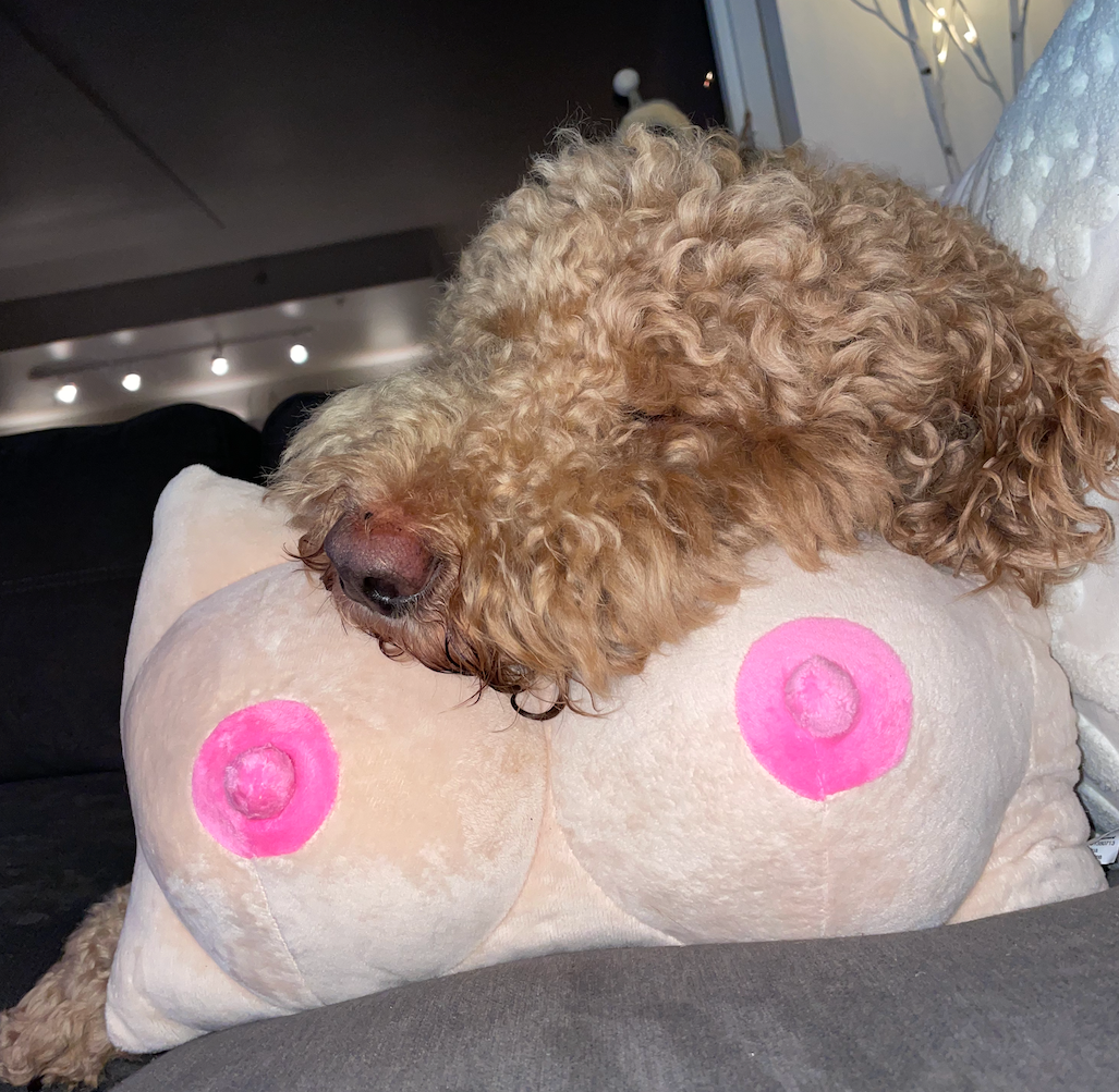 Boob Pillow