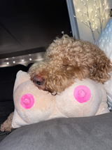 Boob Pillow